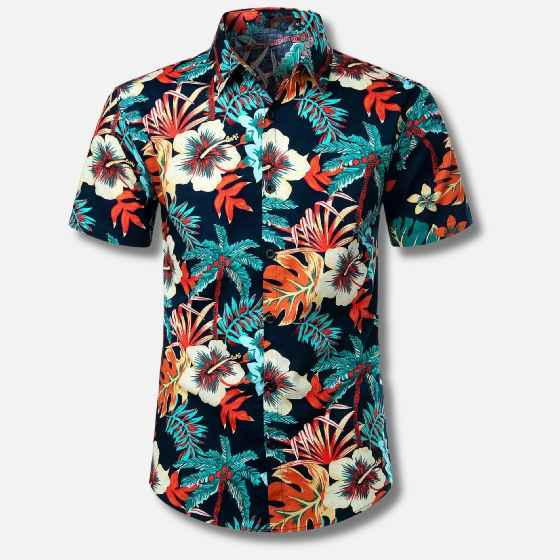 Chemise D'été Hawaïenne Classique Pour Homme | Colorée