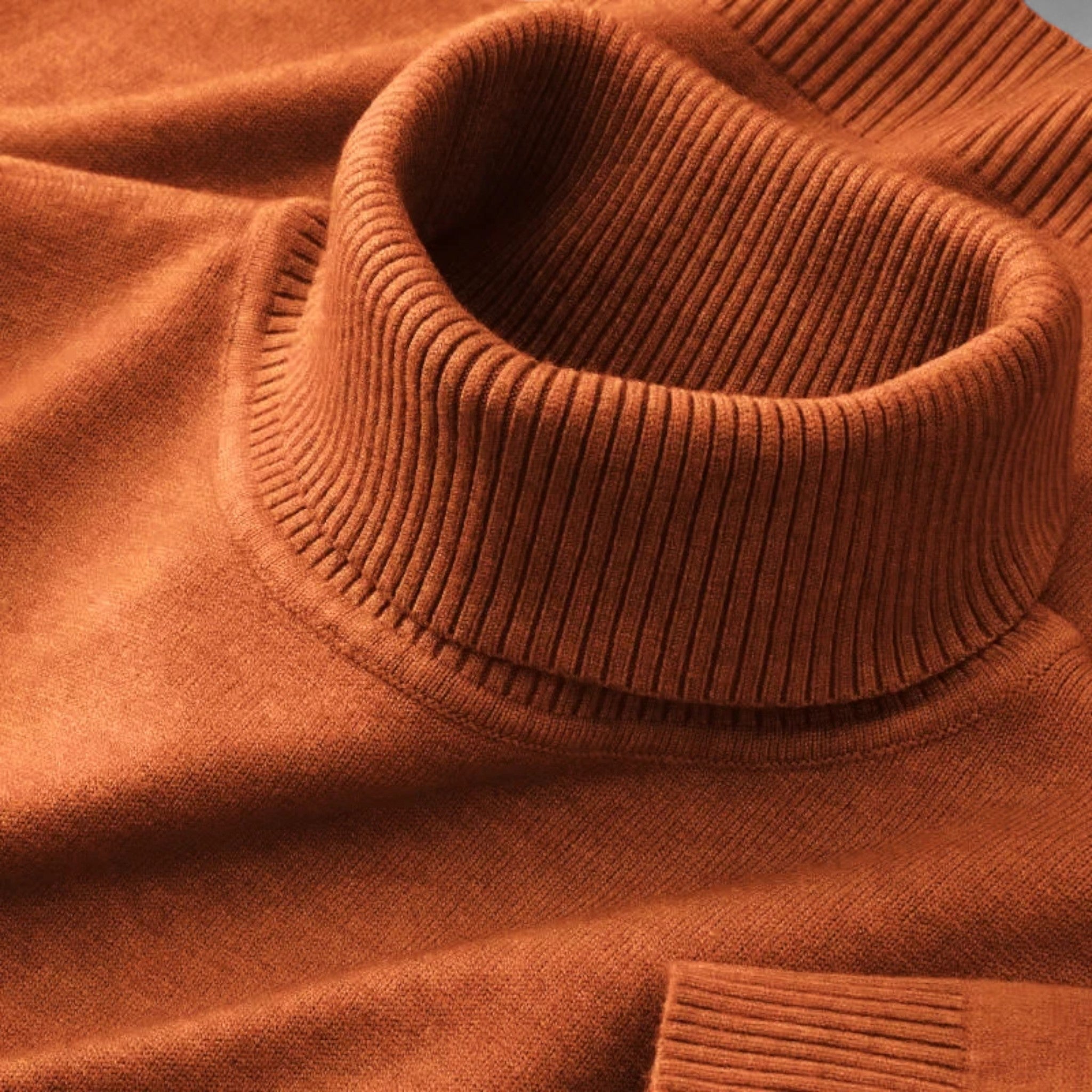 Men’s Knitted Turtleneck Pullover | Regular Fit
